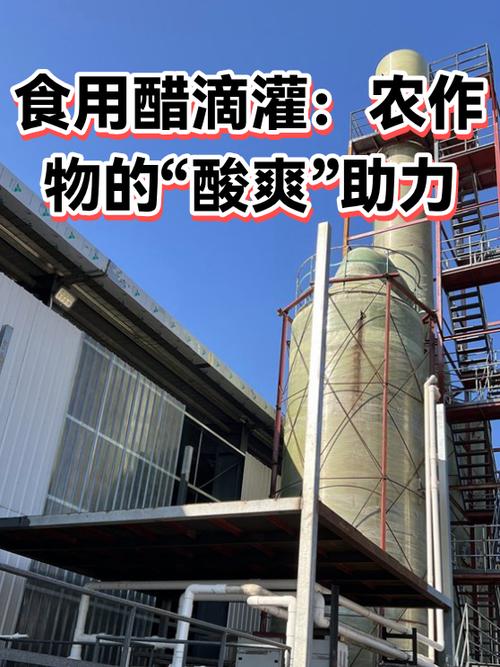 食用醋滴灌:农作物的"酸爽"助力