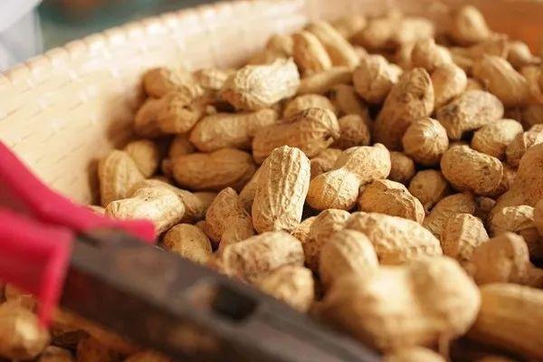 陕西通报:13批次食品不合格!涉及饮料,食用农产品等